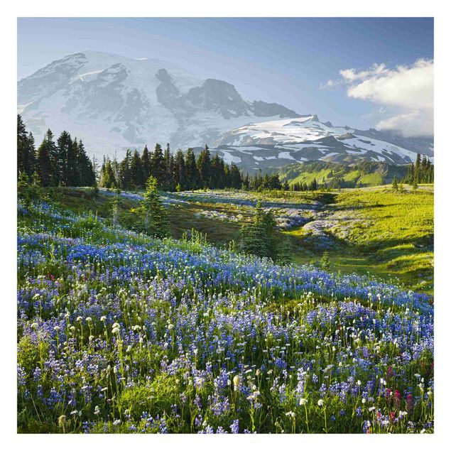 Papier peint forêt Mountain Meadow With Blue Flowers in Front of Mt. Rainier