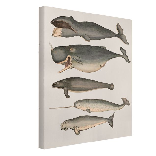 Tableau animaux Cinq baleines vintage
