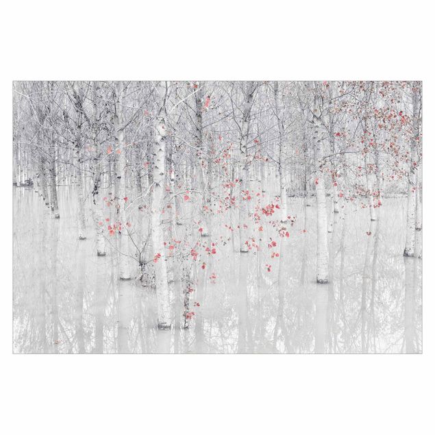 Papier peint panoramique Forêt de bouleaux avec feuilles rose clair