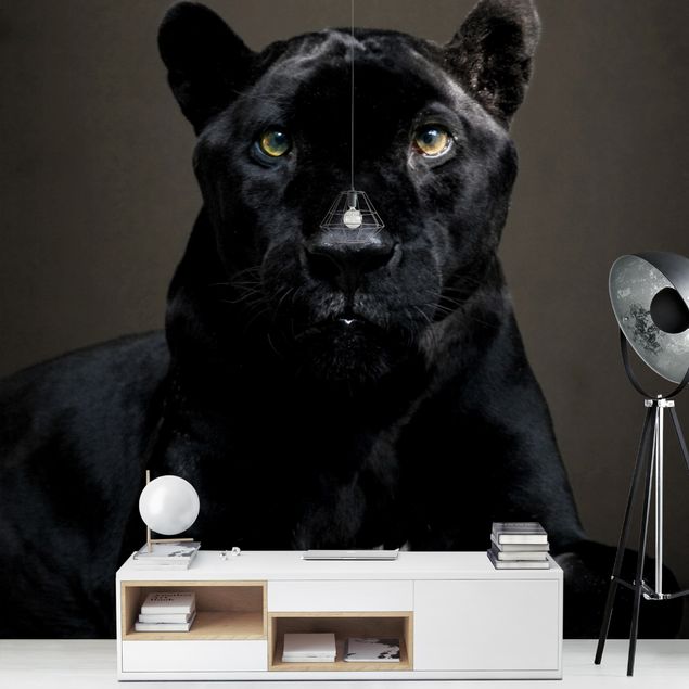 Papier peint animaux Puma noir