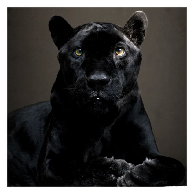 Papier peint panoramique Puma noir