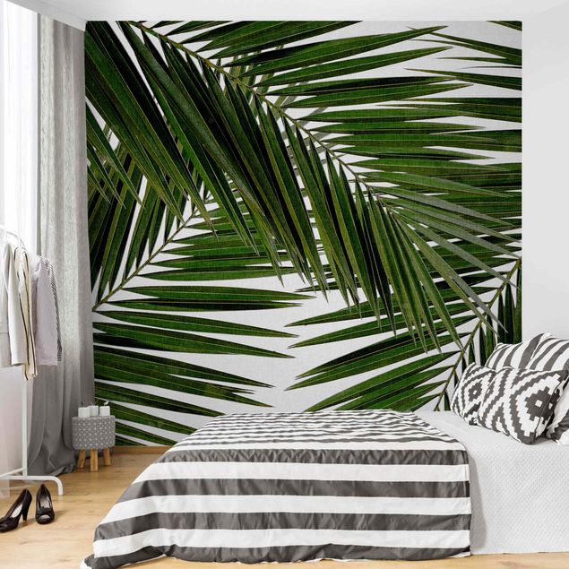 Papiers peints modernes Vue à travers des feuilles de palmier vertes