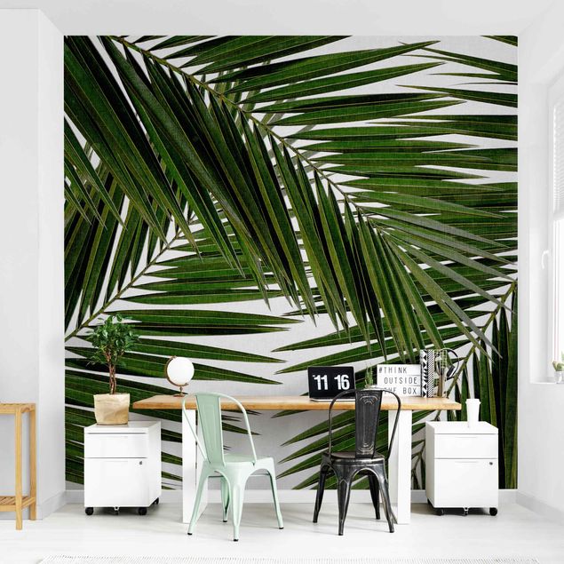 Papier peint floral Vue à travers des feuilles de palmier vertes