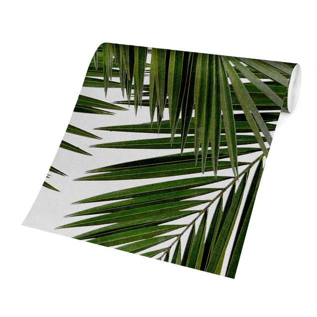 Papiers peints verts Vue à travers des feuilles de palmier vertes