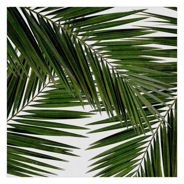 tapisserie panoramique Vue à travers des feuilles de palmier vertes