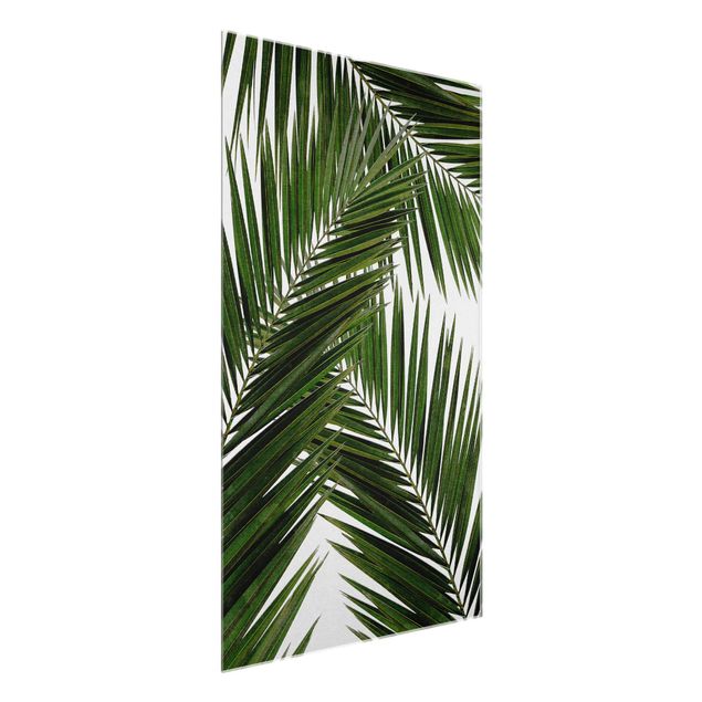 Tableau moderne Vue à travers des feuilles de palmier vertes