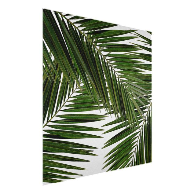 Tableau moderne Vue à travers des feuilles de palmier vertes
