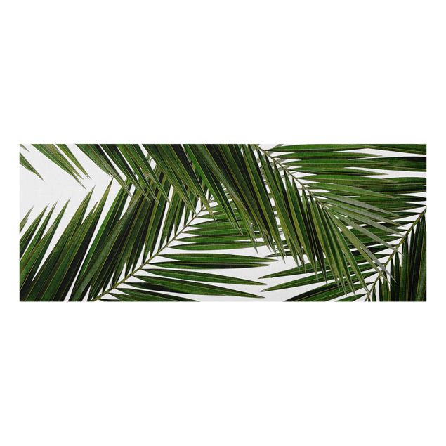 Tableau fleurs Vue à travers des feuilles de palmier vertes