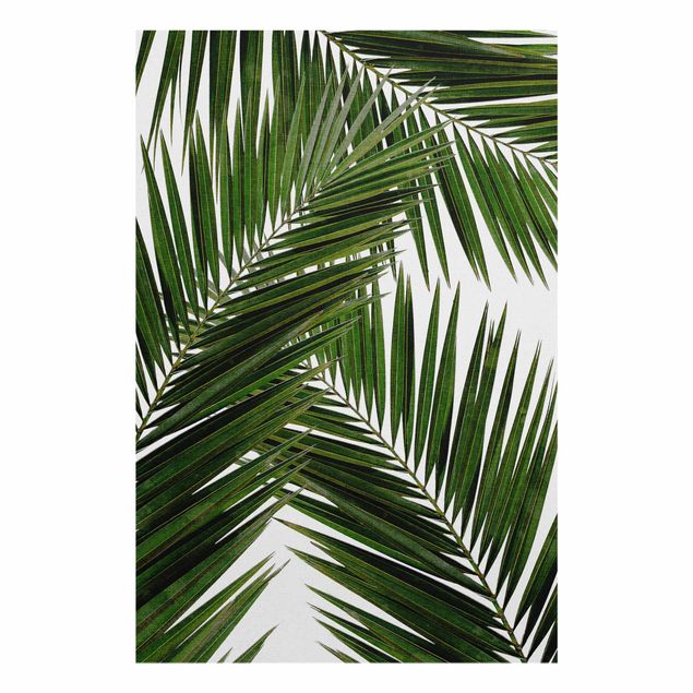 Tableau fleurs Vue à travers des feuilles de palmier vertes