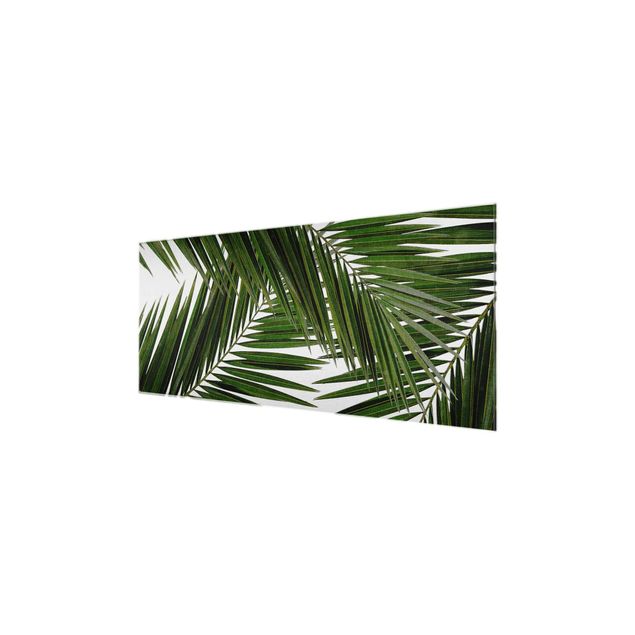 Tableau vert Vue à travers des feuilles de palmier vertes
