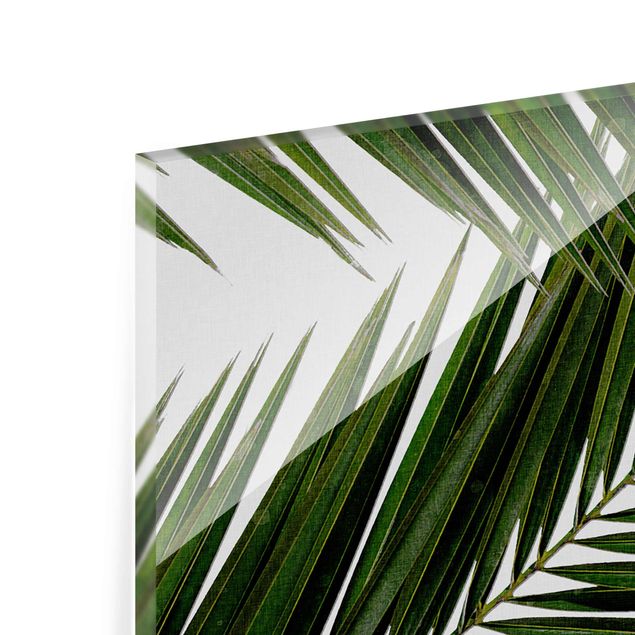 Tableau décoration Vue à travers des feuilles de palmier vertes