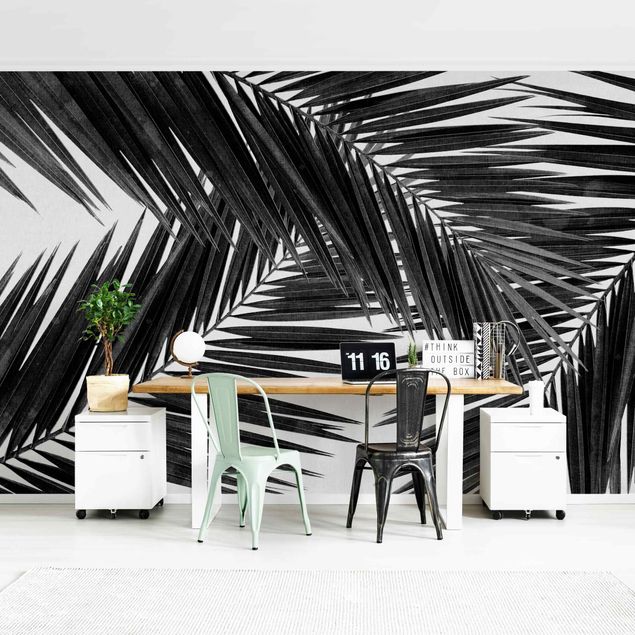 Papier peint moderne View Over Palm Leaves Black And White