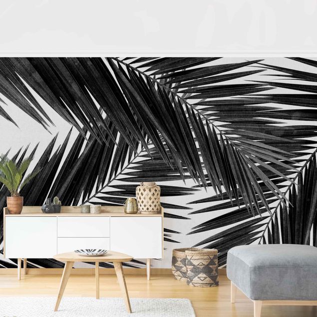 Papier peint noir et blanc View Over Palm Leaves Black And White