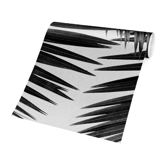 Papier peint panoramique View Over Palm Leaves Black And White