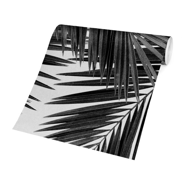 papier peint xxl Vue sur des feuilles de palmier noir et blanc