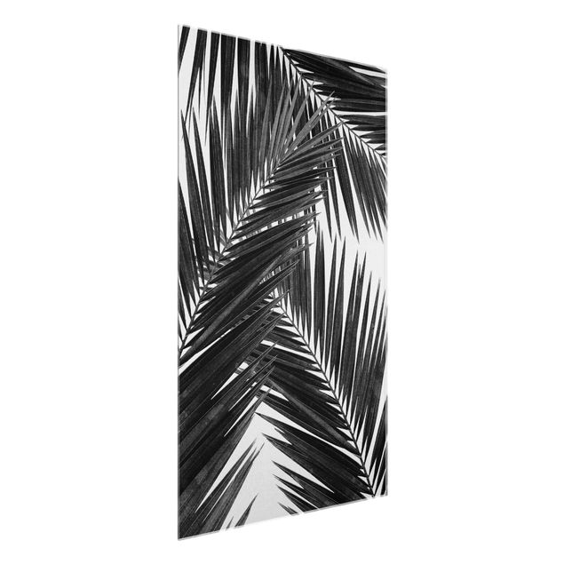 Tableaux en verre noir et blanc Vue sur des feuilles de palmier noir et blanc