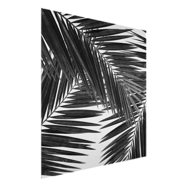 Tableaux en verre noir et blanc Vue sur des feuilles de palmier noir et blanc