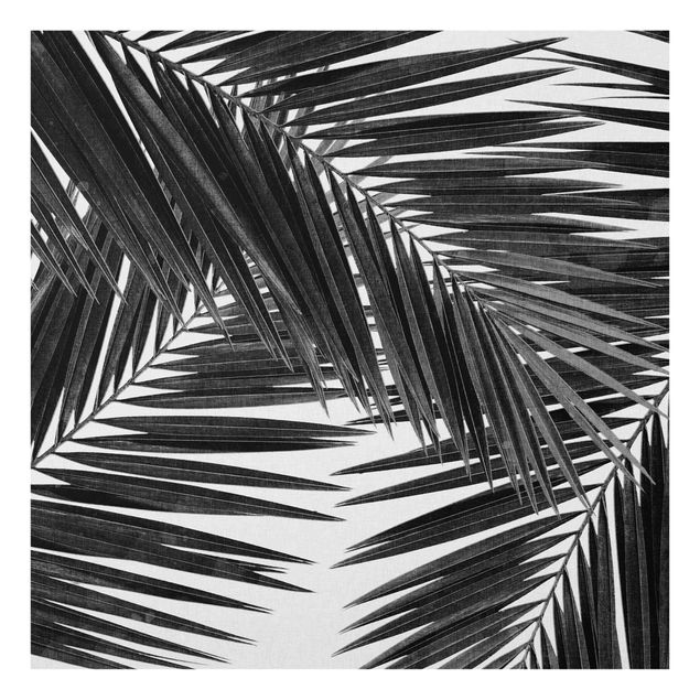 Tableaux modernes Vue sur des feuilles de palmier noir et blanc