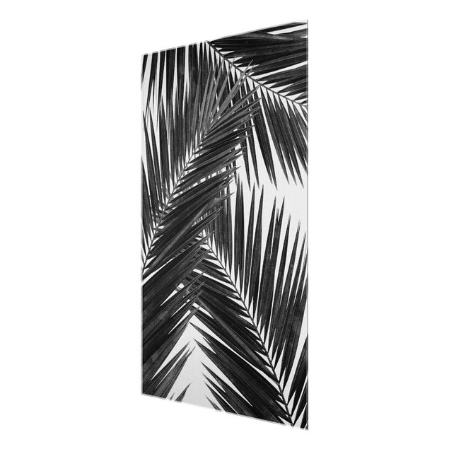 Tableaux noir et blanc Vue sur des feuilles de palmier noir et blanc