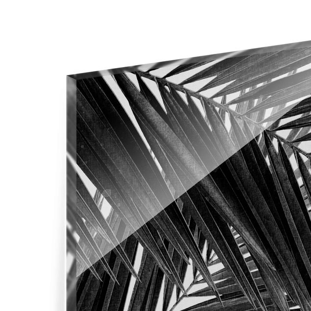 Tableaux Vue sur des feuilles de palmier noir et blanc