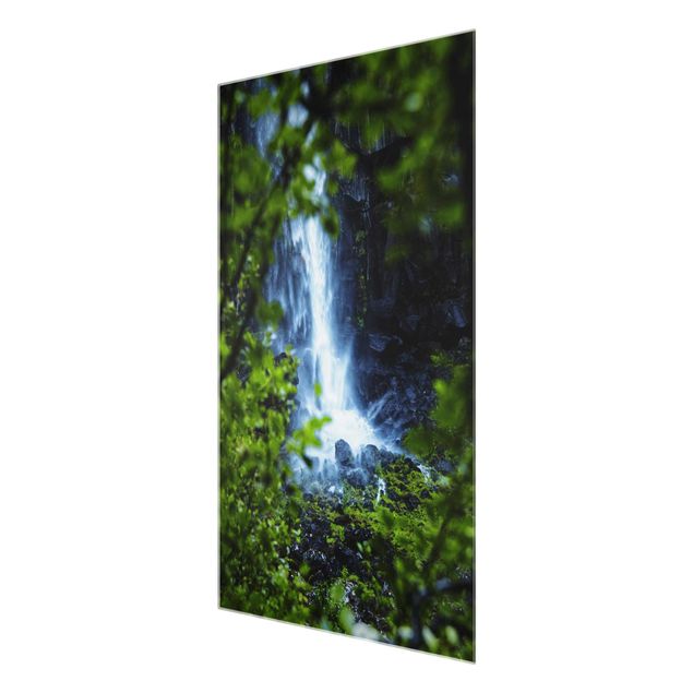 Tableau en verre paysage Vue d'une chute d'eau
