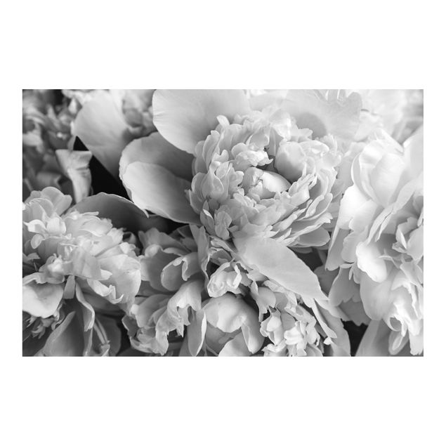 Papier peint panoramique Blossoming Peonies Black And White