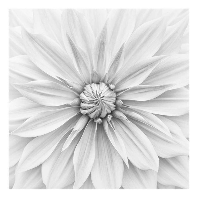 Tableaux noir et blanc Fleurs Botaniques En Blanc