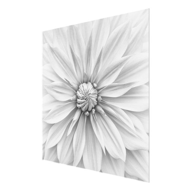 Tableaux muraux Fleurs Botaniques En Blanc