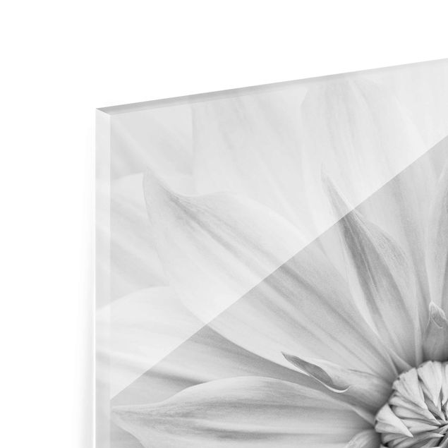 Tableaux en verre magnétique Fleurs Botaniques En Blanc