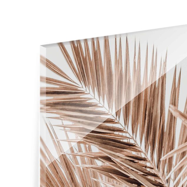 Tableaux muraux Feuilles de palmier couleur bronze