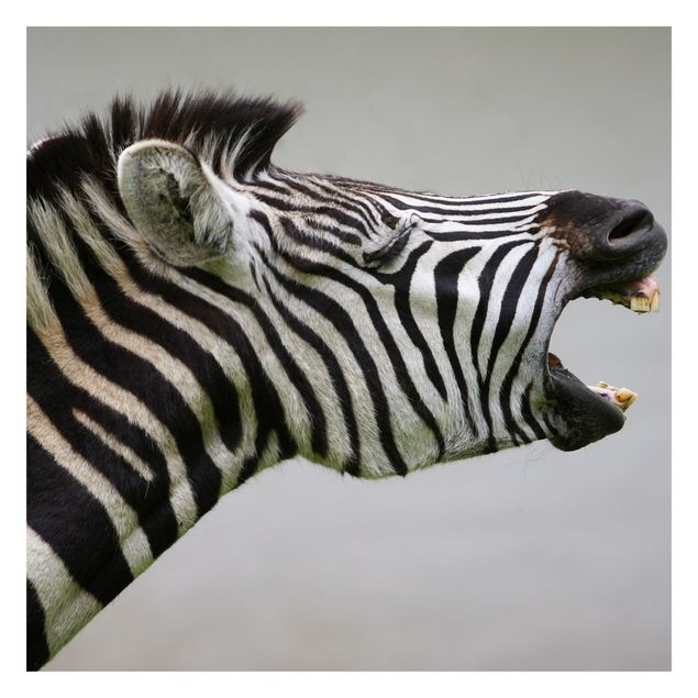 Papier peint - Roaring Zebra