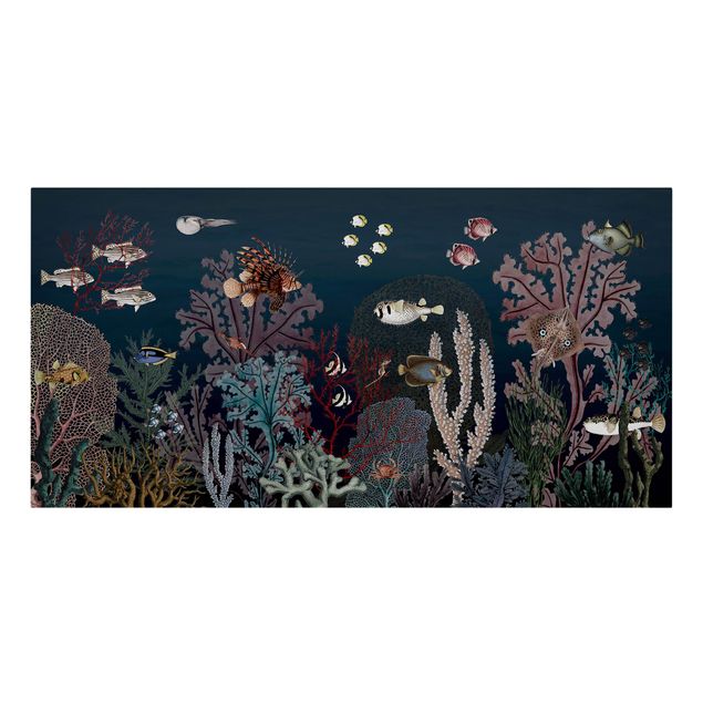 Toile poisson moderne Récif corallien coloré la nuit