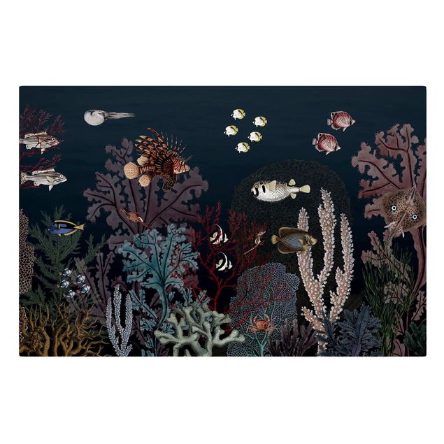 Toile poisson Récif corallien coloré la nuit
