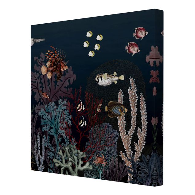 Tableau moderne Récif corallien coloré la nuit