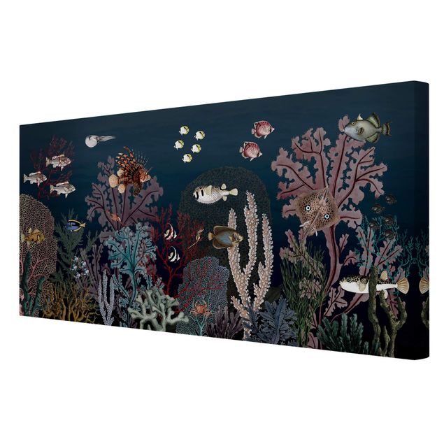 Tableaux moderne Récif corallien coloré la nuit
