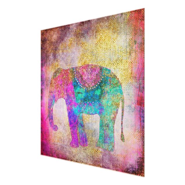 Tableau multicolor Collage coloré - Éléphant indien