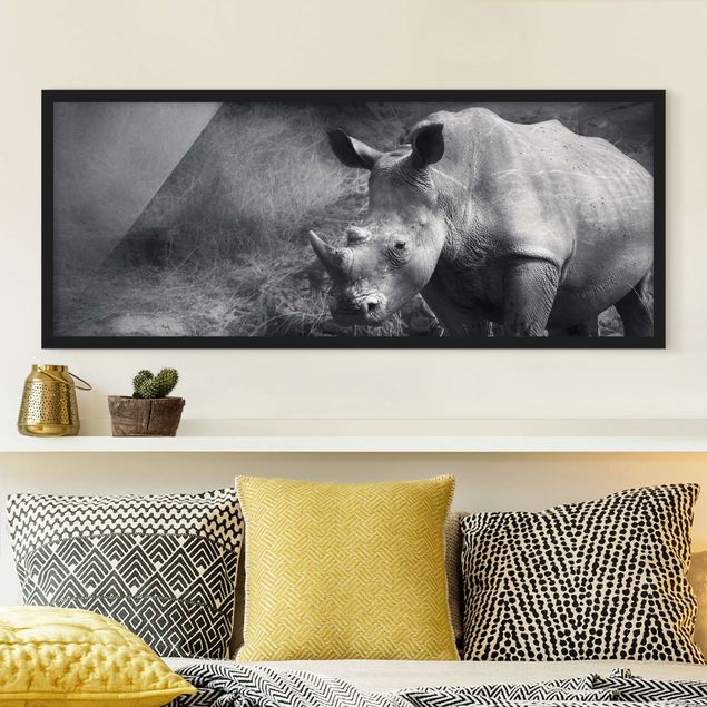 Tableaux encadrés animaux Rhinocéros solitaire