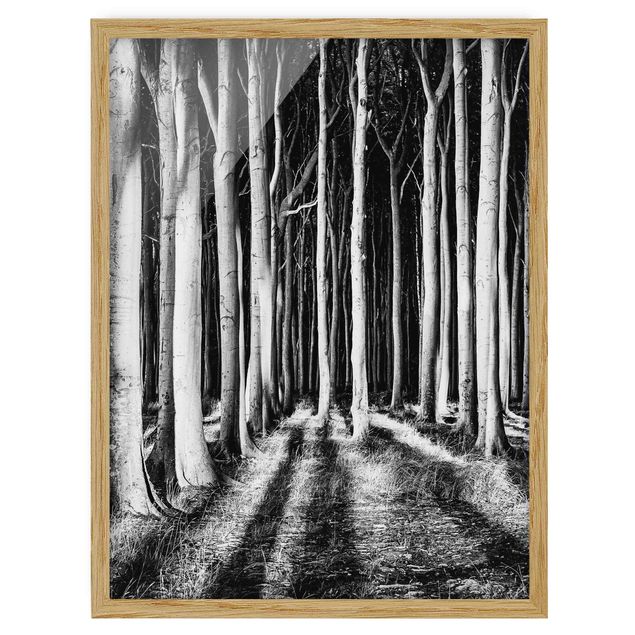 Tableaux encadrés noir et blanc Forêt effrayante