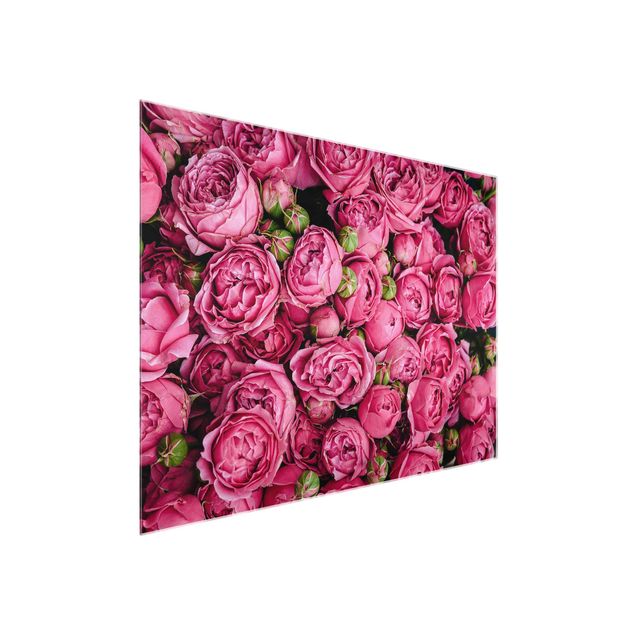 Tableaux en verre fleurs Pivoines roses