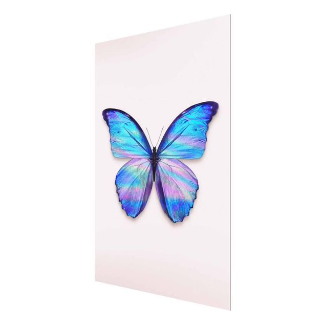 Tableaux animaux Papillon Holographique