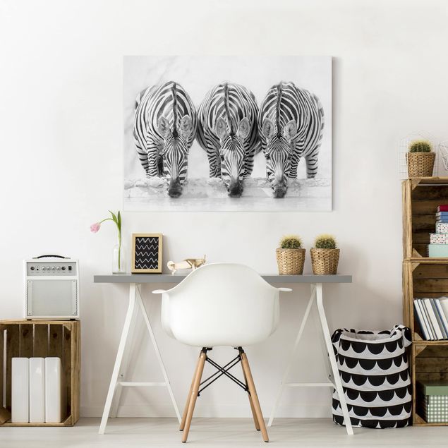 Toile zebre Trio de zèbres en noir et blanc