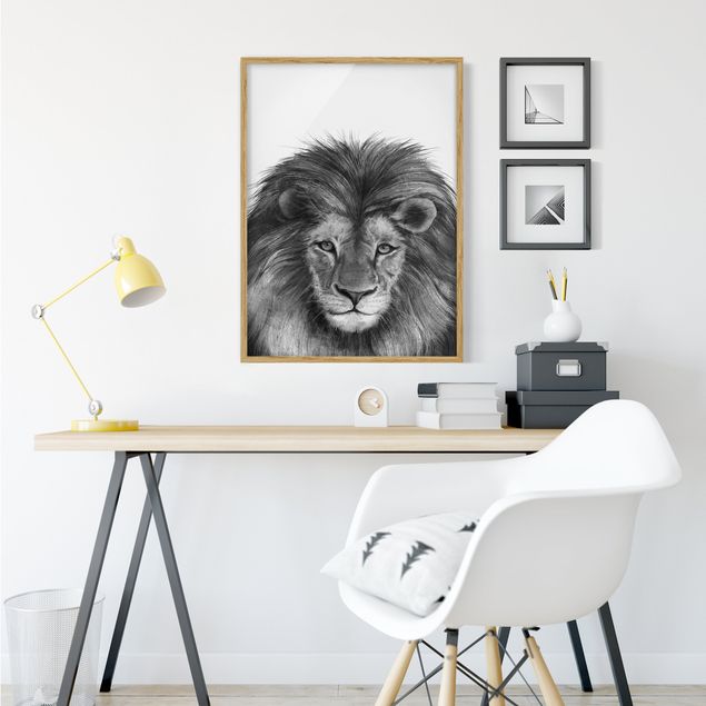 Tableaux encadrés noir et blanc Illustration Lion Monochrome Peinture