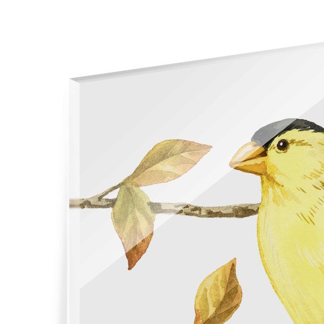 Tableau en verre - Birds And Berries - American Goldfinch