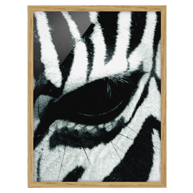 Affiches encadrées animaux Zebra Crossing