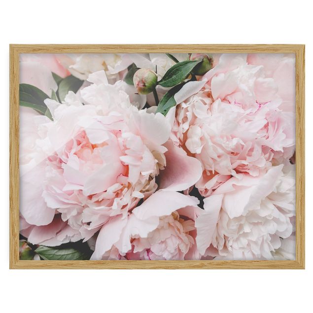 tableaux floraux Pivoines rose clair