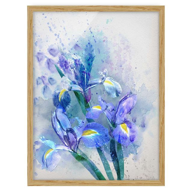 Tableau fleurs Aquarelle Fleurs Iris