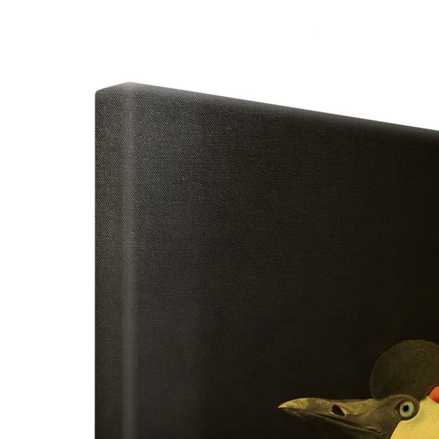 Tableau sur toile or - Black Crowned Crane