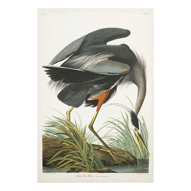 Tableau ton gris Tableau Botanique Blue Heron