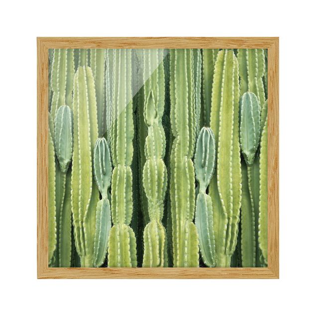 Tableaux fleurs Mur de cactus