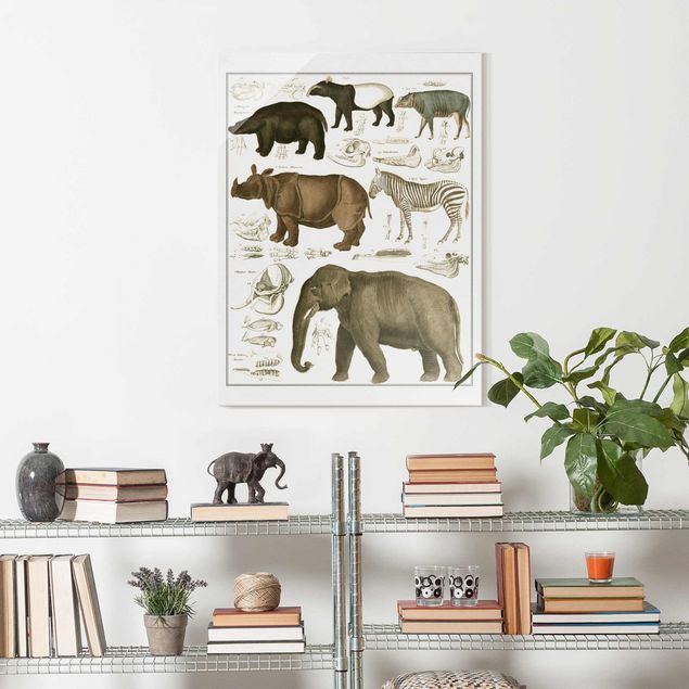 Tableau paysages Tableau Botanique éléphant, zèbre et rhino